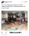 tmp_10523-20160717-221845-Misanthrop7734-id14180441530668726.png