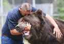 bear1.jpg