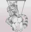 1479504303.bbd_tigertaming.png.jpg