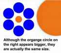 1479605560923.jpg