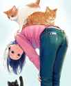cat and ass.jpg
