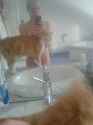 IMG-20140617-WA0010.jpg