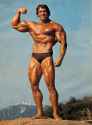 arnold-schwarzenegger1.jpg