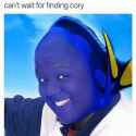 1ded44825fc041f88674c377648a0256.jpg