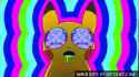 pika-gets-mind-blown_o_GIFSoup.com.gif