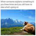 FB_IMG_1478439322141.jpg