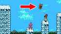 Ninja Gaiden.jpg