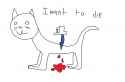 cat.png