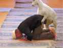 Goat Fucking Muslim.jpg