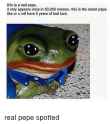 Imgur-e84363.png