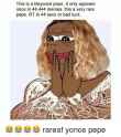 this-is-a-beyoncé-pepe-it-only-appears-once-in-1877137.png
