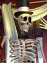 Skully.jpg