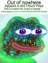1452649215781.jpg