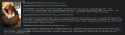wtf.png