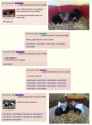 53d2ba48cb7243f1ae19806309d8584c.jpg