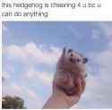 FhYArhI.jpg