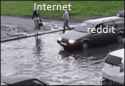 1465681450078-0.gif