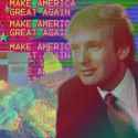 13912354_1039671349461856_1697383931282005017_n.jpg