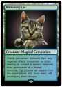 Immunity Cat.jpg