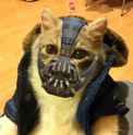 banecat.png
