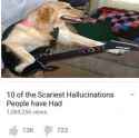 spooks.jpg