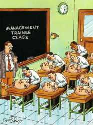 TrainingForEmployment.jpg