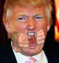 trumpse.jpg
