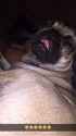 received_1193687014047382.jpg