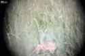 1479673733144.gif