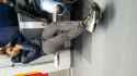 SpyPhoto_20161116_171152059.jpg