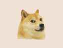 1446414606914.gif