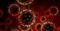 cancer-cells.jpg