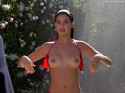 phoebecates.jpg