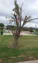 00f0f_hGoM98Pdo2F_600x450.jpg