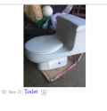 toilet.png