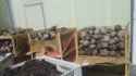 00606_6OUNWRzeBdA_600x450.jpg