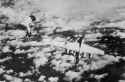 B-24_Destroyed.jpg