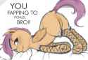 5657__solo_explicit_solo+female_vagina_anus_scootaloo_plot_socks_stockings_foalcon.png