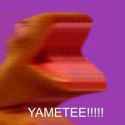 yamatee.jpg