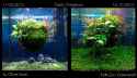 aquarium01.jpg