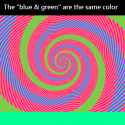 colors are the same.gif