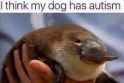 15107351_1938203229740338_4625363907826888418_n.jpg