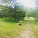 IMG_20151010_140242.jpg