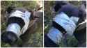 aurora-duct-tape-dog[1].jpg