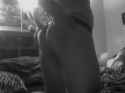 pic (1).gif