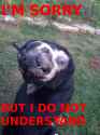 daily_meme___does_not_compute_by_justcallmesly-d4j8zuw.png