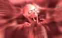 14601086_1204948389565475_6372003982550123730_n.jpg
