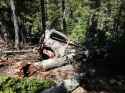 01JUN14_Old_Car_in_Woods.jpg