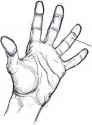 Hand.jpg
