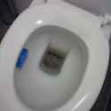 IMG_20161124_105339.jpg